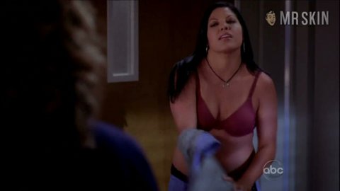 Sara Ramirez Nue Fake 19