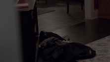 Americanhorrorstory 07x06 billyeichner coltonhaynes hd 01 small 3