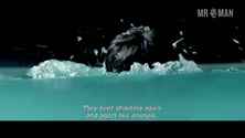 Newyork mukesh hd 01 small 3